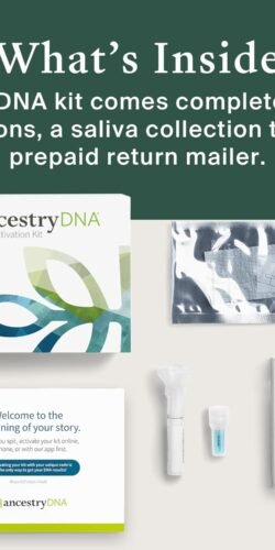 Ancestry DNA test - Image 3