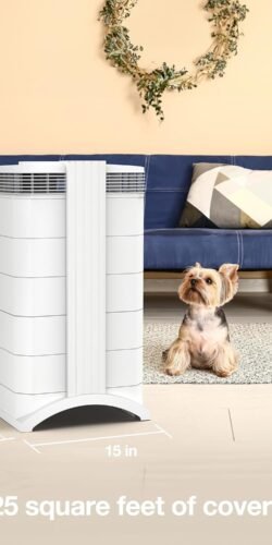 IQ air Purifier Big - Image 7