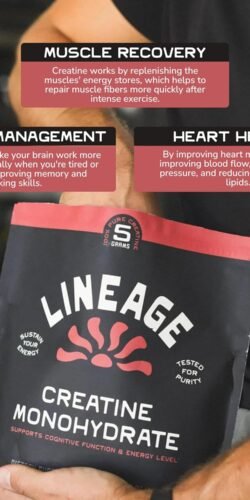 Micronized Creatine Monohydrate with Sea Salt - Image 4