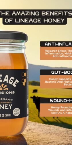 Lineage Provisions 100% Organic Raw Unfiltered Honey - Image 4